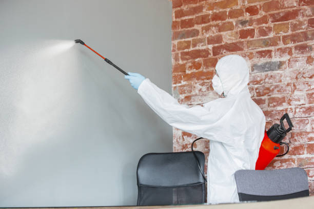 Best Environmental Consulting for Mold Prevention  in Lakesite, TN